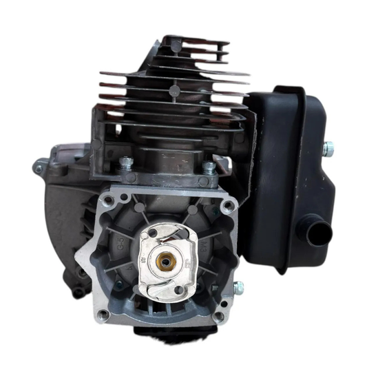 SHAYN 52cc 2-stroke petrol engine for strimmer and brush cutter